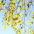 Vortebirk - Betula pendula