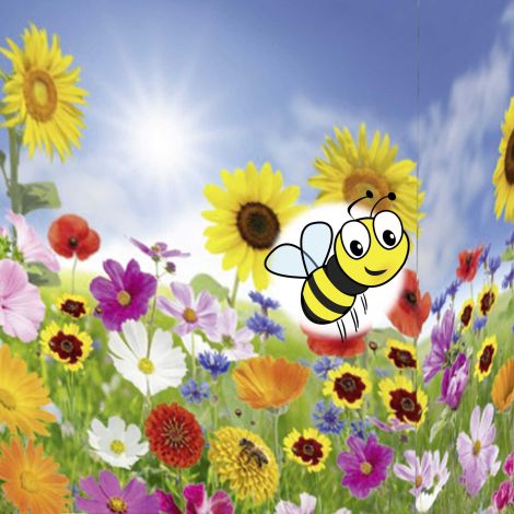 Blomsterfrø til Blomstrende Grøftekant