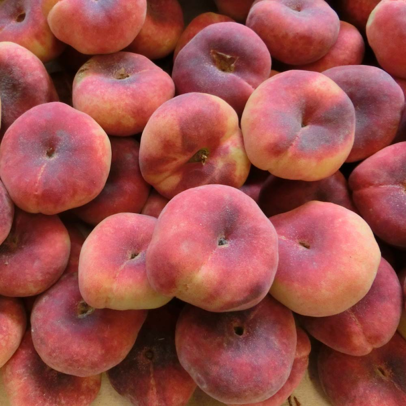Fersken 'platifortwo' Tallerken Ufo Fersken Prunus Persica