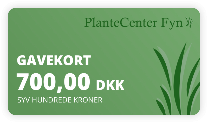 Se Gavekort kr. 700,- hos PlanteCenterFyn.dk