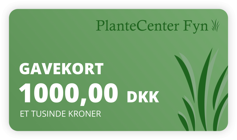 Se Gavekort kr. 1000,- hos PlanteCenterFyn.dk