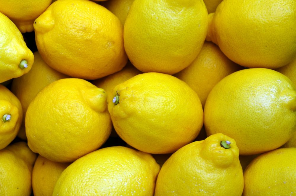 Masser af citroner rig på C-vitamin
