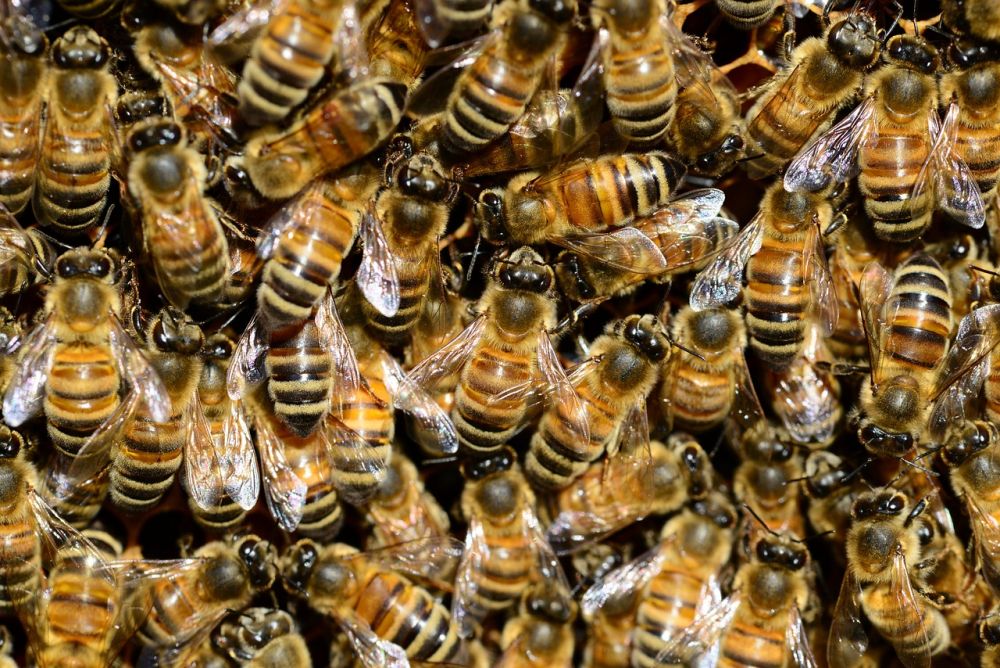 En masse bier der er på arbejde