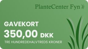 Gavekort til PlanteCenter Fyn 350,- kr.