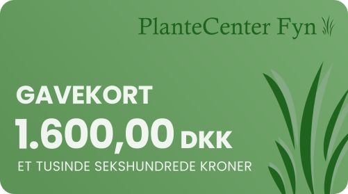 Gavekort til PlanteCenter Fyn på 1.600 kroner