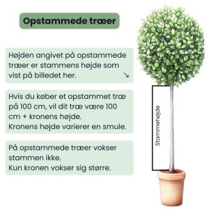 Opstammede træer
