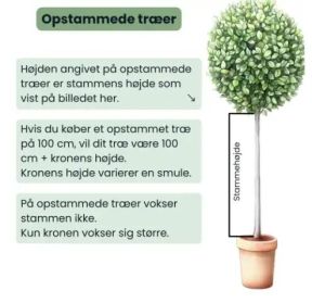 Sådan måles stammehøjden på et opstammet træ. Den angivne højde er stammens højde, kronen kommer oveni.